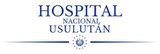 Logo hnsp 2022