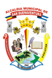 San buenaventura 333x500