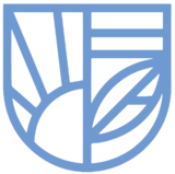 Sse